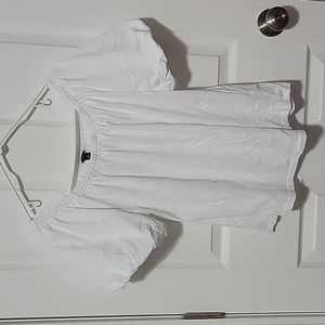 Euc Ann Taylor large petite women's shirt